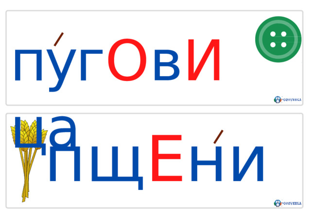 пуг О в И ца п щ Е н и ц а 