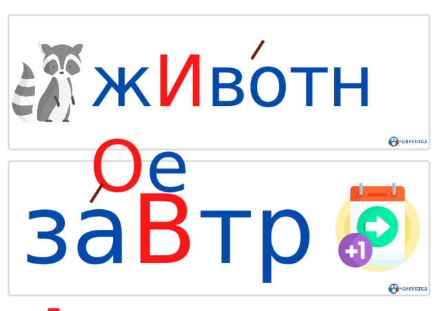 ж И вотн О е з а В т р А 