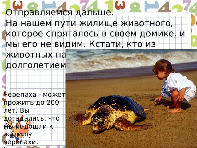 Отправляемся дальше. На нашем пути жилище животного, которое спряталось в своем домике, и мы его не видим. Кстати, кто из животных на земле отличается долголетием? Черепаха - может прожить до 200 лет. Вы догадались, что мы подошли к жилищу черепахи. Что вы знаете о черепахах? 