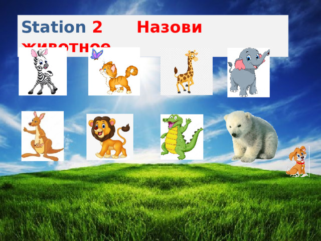 Station 2 Назови животное 