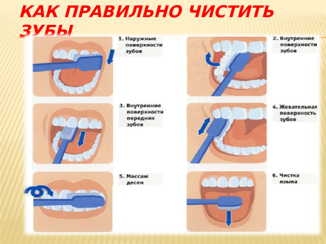 Как правильно чистить зубы 