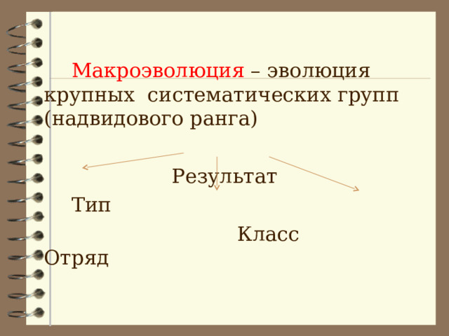  Макроэволюция – эволюция крупных систематических групп (надвидового ранга) Результат  Тип  Класс Отряд 