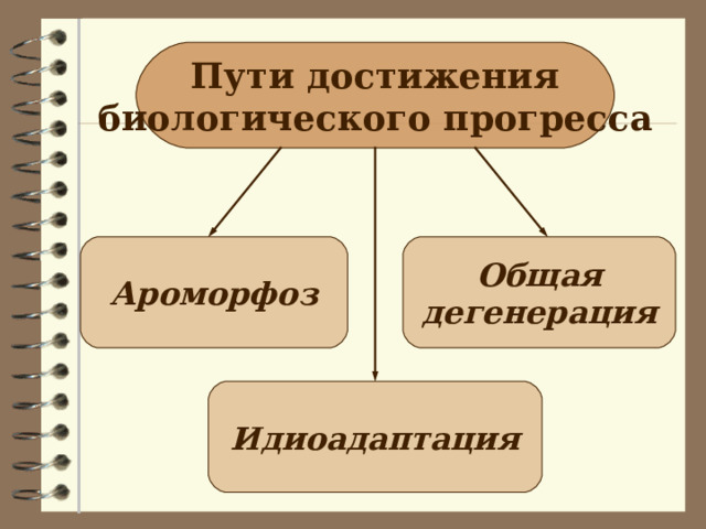 Пути достижения биологического прогресса Ароморфоз Общая дегенерация Идиоадаптация 