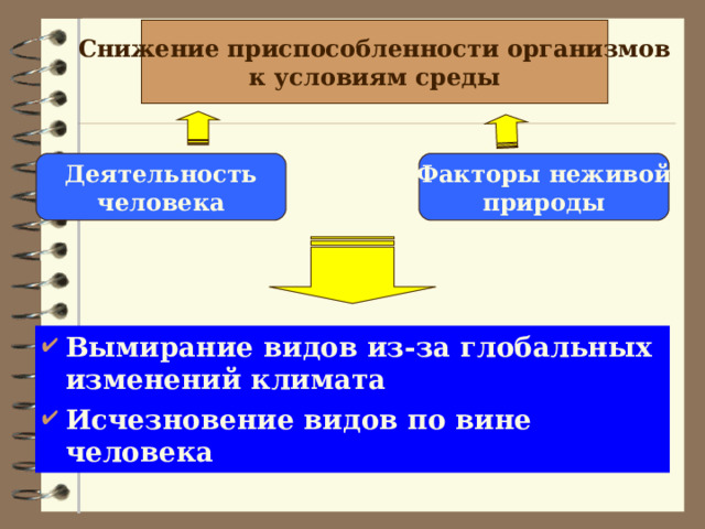 Снижение приспособленности организмов к условиям среды Деятельность человека Факторы неживой природы Вымирание видов из-за глобальных изменений климата Исчезновение видов по вине человека 