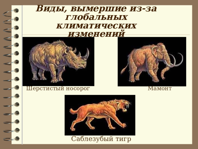 Виды, вымершие из-за глобальных климатических изменений Шерстистый носорог Мамонт Саблезубый тигр 