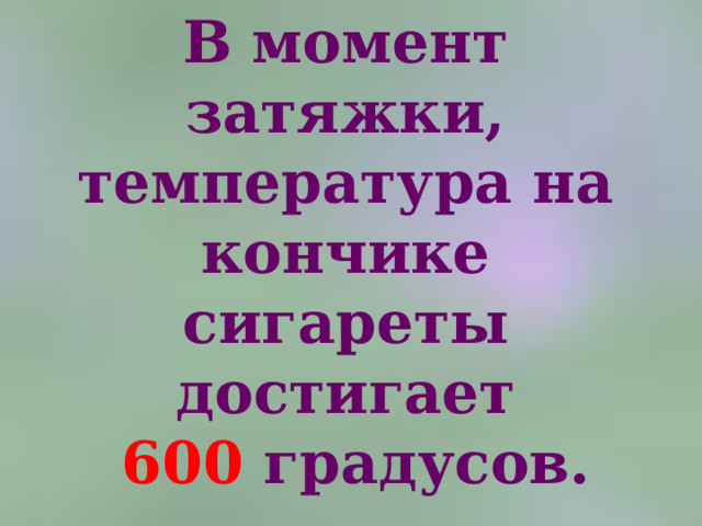 В момент затяжки, температура на кончике сигареты достигает   600 градусов. 