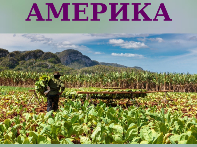 АМЕРИКА   