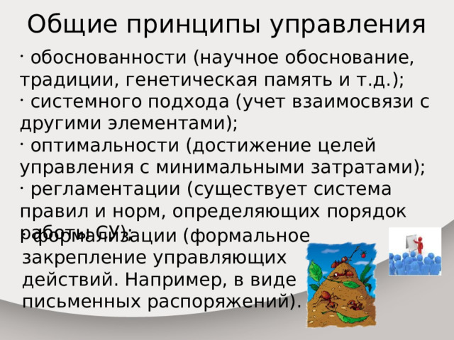 Общие принципы управления  обоснованности (научное обоснование, традиции, генетическая память и т.д.);  системного подхода (учет взаимосвязи с другими элементами);  оптимальности (достижение целей управления с минимальными затратами);  регламентации (существует система правил и норм, определяющих порядок работы СУ);  формализации (формальное закрепление управляющих действий. Например, в виде письменных распоряжений). 