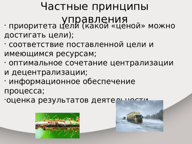 Частные принципы управления  приоритета цели (какой «ценой» можно достигать цели);  соответствие поставленной цели и имеющимся ресурсам;  оптимальное сочетание централизации и децентрализации;  информационное обеспечение процесса; оценка результатов деятельности. 