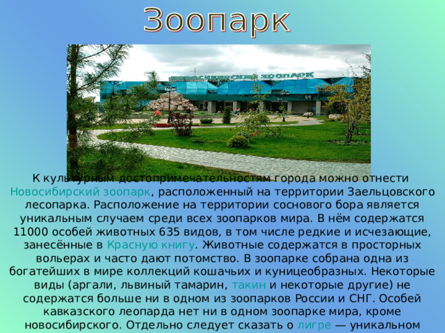К культурным достопримечательностям города можно отнести Новосибирский зоопарк , расположенный на территории Заельцовского лесопарка. Расположение на территории соснового бора является уникальным случаем среди всех зоопарков мира. В нём содержатся 11000 особей животных 635 видов, в том числе редкие и исчезающие, занесённые в Красную книгу . Животные содержатся в просторных вольерах и часто дают потомство. В зоопарке собрана одна из богатейших в мире коллекций кошачьих и куницеобразных. Некоторые виды (аргали, львиный тамарин, такин и некоторые другие) не содержатся больше ни в одном из зоопарков России и СНГ. Особей кавказского леопарда нет ни в одном зоопарке мира, кроме новосибирского. Отдельно следует сказать о лигре  — уникальном гибриде льва и тигрицы. 