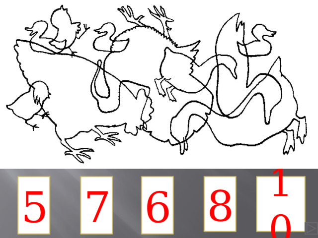 7 5 6 8 10 