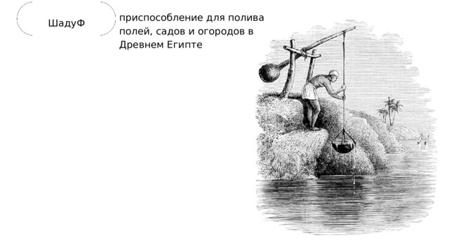 приспособление для полива полей, садов и огородов в Древнем Египте ШадуФ 