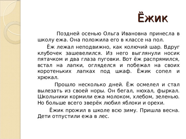  Ёжик  Поздней осенью Ольга Ивановна принесла в школу ежа. Она положила его в классе на пол.  Ёж лежал неподвижно, как колючий шар. Вдруг клубочек зашевелился. Из него выглянули носик пятачком и два глаза пуговки. Вот ёж распрямился, встал на лапки, огляделся и побежал на своих коротеньких лапках под шкаф. Ёжик сопел и хрюкал.  Прошло несколько дней. Ёж осмелел и стал вылезать из своей норы. Он бегал, нюхал, фыркал. Школьники кормили ежа молоком, хлебом, зеленью. Но больше всего зверёк любил яблоки и орехи.  Ёжик прожил в школе всю зиму. Пришла весна. Дети отпустили ежа в лес. 