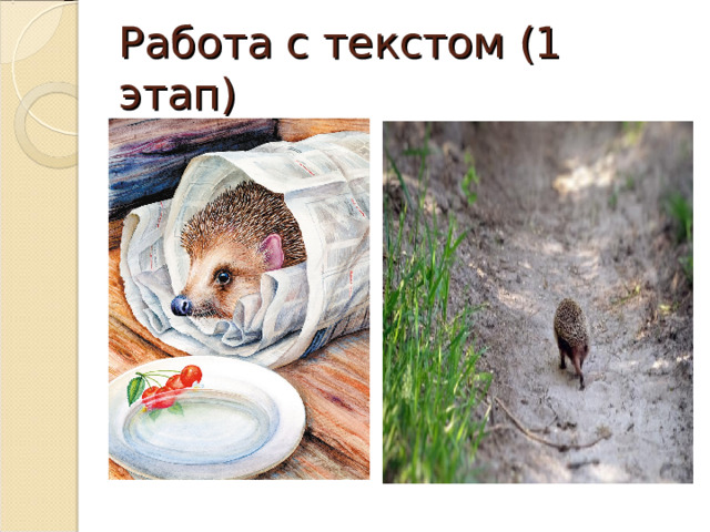 Работа с текстом (1 этап) 