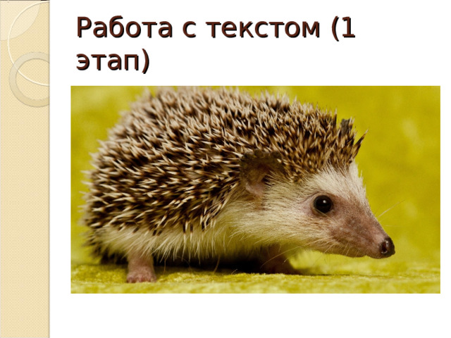 Работа с текстом (1 этап) 