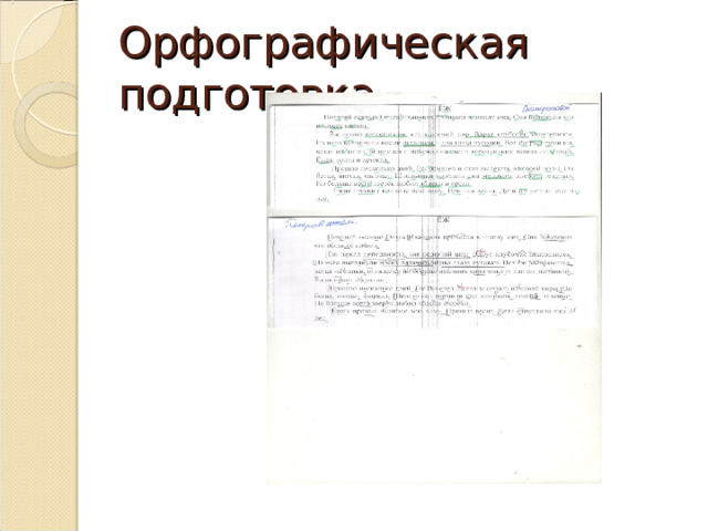 Орфографическая подготовка 