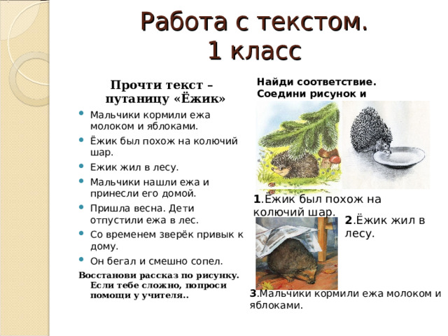 Работа с текстом.  1 класс Найди соответствие. Соедини рисунок и предложение. Прочти текст – путаницу «Ёжик»  Мальчики кормили ежа молоком и яблоками. Ёжик был похож на колючий шар. Ежик жил в лесу. Мальчики нашли ежа и принесли его домой. Пришла весна. Дети отпустили ежа в лес. Со временем зверёк привык к дому. Он бегал и смешно сопел. Восстанови рассказ по рисунку. Если тебе сложно, попроси помощи у учителя.. 1 .Ёжик был похож на колючий шар. 2 .Ёжик жил в лесу. 3 .Мальчики кормили ежа молоком и яблоками. 