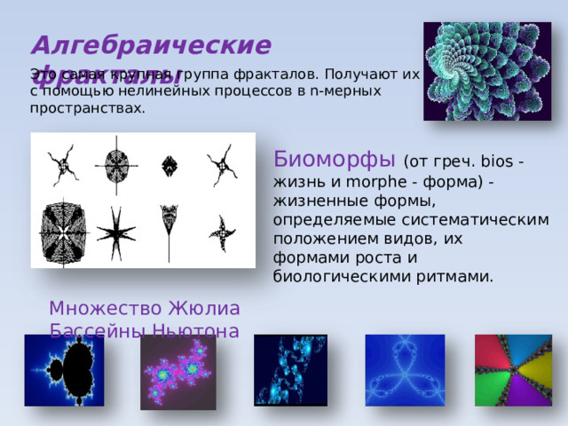 Алгебраические фракталы Это самая крупная группа фракталов. Получают их с помощью нелинейных процессов в n-мерных пространствах. Биоморфы (от греч. bios - жизнь и morphe - форма) - жизненные формы, определяемые систематическим положением видов, их формами роста и биологическими ритмами. Множество Жюлиа Бассейны Ньютона 