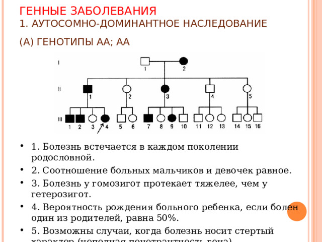 ГЕННЫЕ ЗАБОЛЕВАНИЯ  1. АУТОСОМНО-ДОМИНАНТНОЕ НАСЛЕДОВАНИЕ (А) ГЕНОТИПЫ АА; АА  1. Болезнь встечается в каждом поколении родословной. 2. Соотношение больных мальчиков и девочек равное. 3. Болезнь у гомозигот протекает тяжелее, чем у гетерозигот. 4. Вероятность рождения больного ребенка, если болен один из родителей, равна 50%. 5. Возможны случаи, когда болезнь носит стертый характер (неполная пенетрантность гена). 