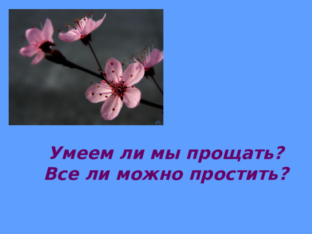Умеем ли мы прощать? Все ли можно простить?   