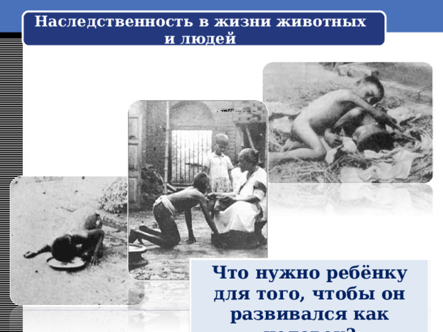«Дикие дети»  Ваня Юдин. Один из недавних случаев дикого ребенка стал Ваня Юдин. Информационные агентства прозвали его 