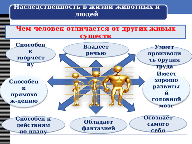 Наследственность в жизни животных и людей Чем человек отличается от других живых существ Владеет речью Способен к творчеству Умеет производить орудия труда Имеет хорошо развитый головной мозг Способен к прямохож-дению На доске появляется готовый кластер /примерный/ Осознаёт самого себя Способен к действиям по плану Обладает фантазией  