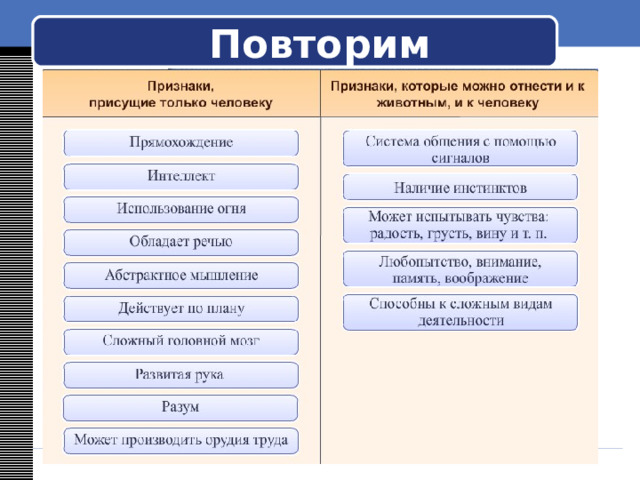 Повторим 