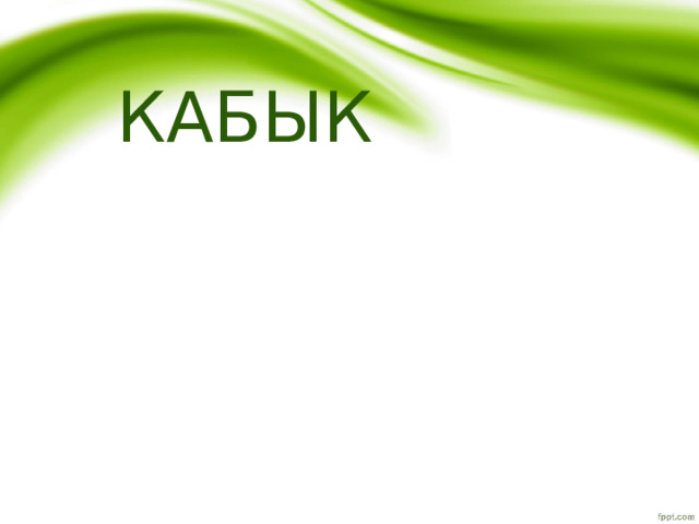 КАБЫК 