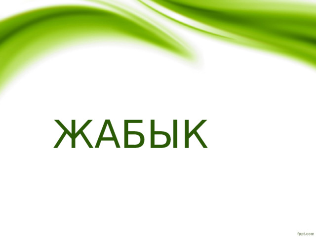 ЖАБЫК 