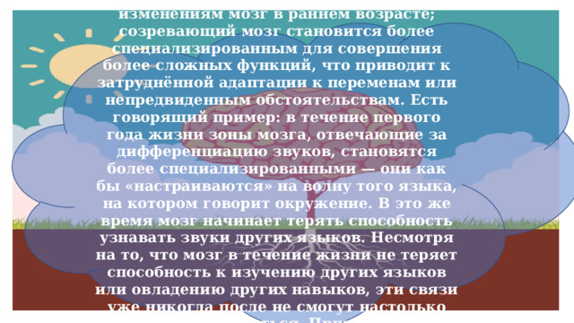  Наиболее пластичен и восприимчив к изменениям мозг в раннем возрасте; созревающий мозг становится более специализированным для совершения более сложных функций, что приводит к затруднённой адаптации к переменам или непредвиденным обстоятельствам. Есть говорящий пример: в течение первого года жизни зоны мозга, отвечающие за дифференциацию звуков, становятся более специализированными — они как бы «настраиваются» на волну того языка, на котором говорит окружение. В это же время мозг начинает терять способность узнавать звуки других языков. Несмотря на то, что мозг в течение жизни не теряет способность к изучению других языков или овладению других навыков, эти связи уже никогда после не смогут настолько легко перестраиваться. Примером всему этому может служить Синдром Маугли.  