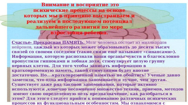  Внимание и восприятие это психические процессы на основе которых мы в принципе выстраиваем и реализуем в последующем потенциал дальнейшего развития по мере взросления ребенка. Счастье- Прекрасная ПАМЯТЬ. Мозг человека состоит из миллиардов нейронов, к аждый из которых может образовывать до десяти тысяч связей со своими соседями (такие связи ещё называют «синапсами»). Информация, которую распознали наши органы чувств и благосклонно пропустили гиппокамп и лобная доля, стимулирует целую группу нервных клеток. Для того чтобы записать информацию в кратковременную память, такой стимуляции будет вполне достаточно. Но….кратковременной памятью не обойтись! Ученые давно заметили, что одна информация запоминается лучше, чем другая. Существует даже ряд законов запоминания, которые активно используются ,конечно несомненно множество техник, приемов, методов  имеют свою определенную цель предназначение, как разобраться в этом? Для этого следует прийти к пониманию различных психических процессов их функциональным особенностям. Мы ознакомимся с некоторыми из них.  