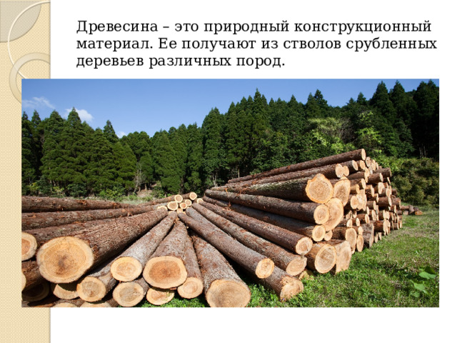 Древесина – это природный конструкционный материал. Ее получают из стволов срубленных деревьев различных пород. 