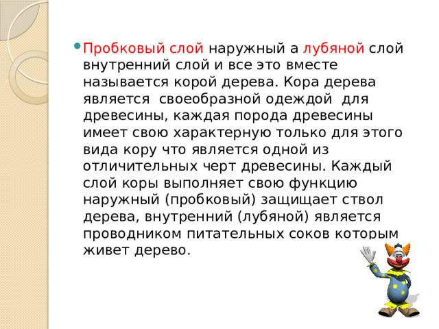 Пробковый слой наружный а лубяной слой внутренний слой и все это вместе называется корой дерева. Кора дерева является своеобразной одеждой для древесины, каждая порода древесины имеет свою характерную только для этого вида кору что является одной из отличительных черт древесины. Каждый слой коры выполняет свою функцию наружный (пробковый) защищает ствол дерева, внутренний (лубяной) является проводником питательных соков которым живет дерево. 