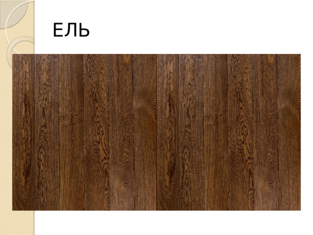ЕЛЬ 