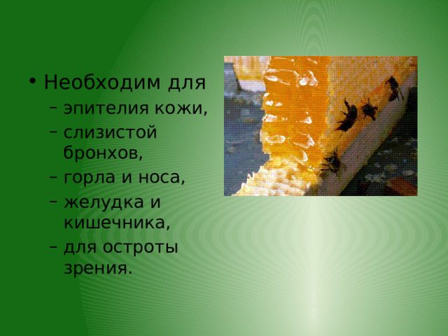 Необходим для эпителия кожи, слизистой бронхов, горла и носа, желудка и кишечника, для остроты зрения. эпителия кожи, слизистой бронхов, горла и носа, желудка и кишечника, для остроты зрения. 