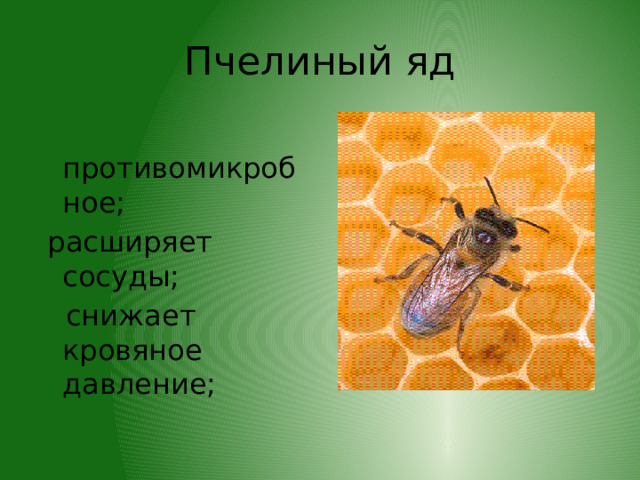 Пчелиный яд  противомикробное;  расширяет сосуды;  снижает кровяное давление; 