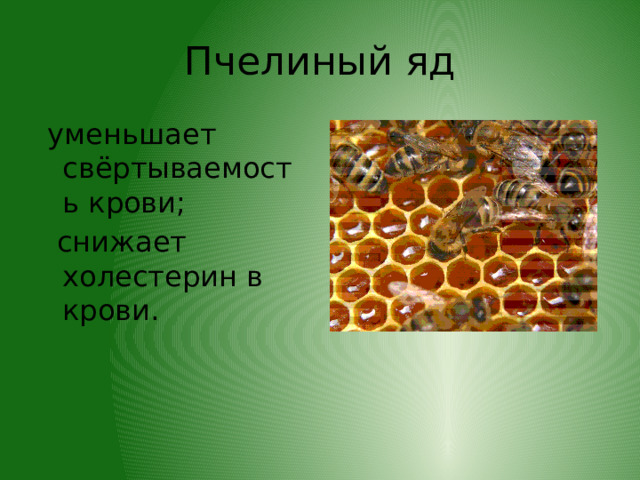 Пчелиный яд  уменьшает свёртываемость крови;  снижает холестерин в крови. 