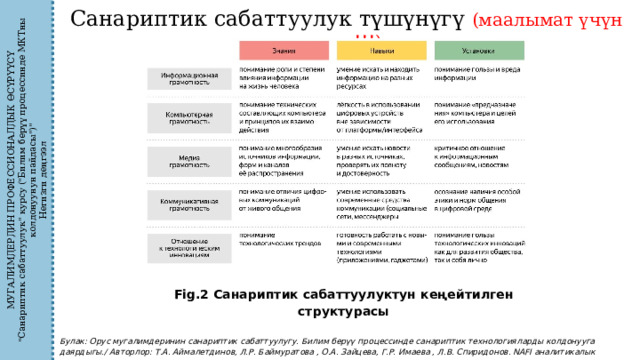 МУГАЛИМДЕРДИН ПРОФЕССИОНАЛДЫК ӨСҮРҮҮСҮ 