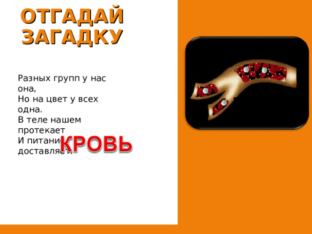 ОТГАДАЙ ЗАГАДКУ Разных групп у нас она, Но на цвет у всех одна. В теле нашем протекает И питание доставляет. 