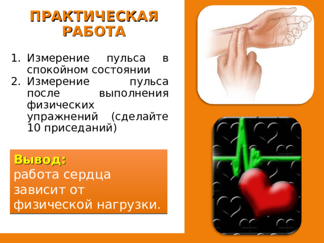 ПРАКТИЧЕСКАЯ РАБОТА Измерение пульса в спокойном состоянии Измерение пульса после выполнения физических упражнений (сделайте 10 приседаний) Вывод: работа сердца зависит от физической нагрузки. 