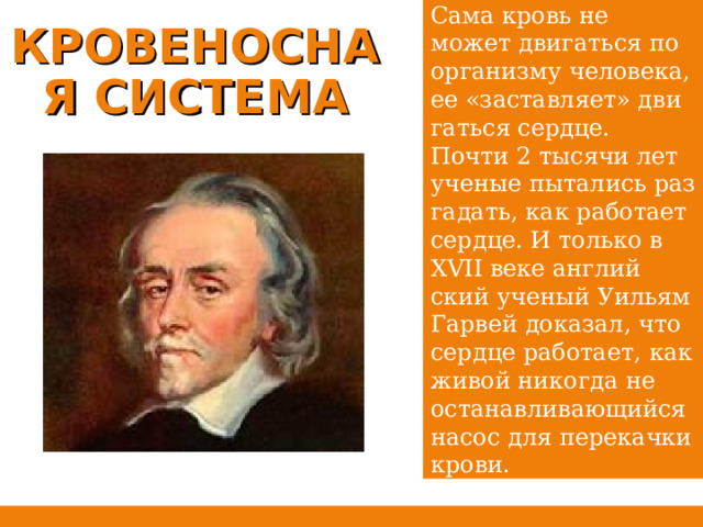 Сама кровь не может дви­гать­ся по ор­га­низ­му че­ло­ве­ка, ее «за­став­ля­ет» дви­гать­ся серд­це. Почти 2 ты­ся­чи лет уче­ные пы­та­лись раз­га­дать, как ра­бо­та­ет серд­це. И толь­ко в XVII веке ан­глий­ский уче­ный Уи­льям Гар­вей до­ка­зал, что серд­це ра­бо­та­ет, как живой ни­ко­гда не оста­нав­ли­ва­ю­щий­ся насос для пе­ре­кач­ки крови. КРОВЕНОСНАЯ СИСТЕМА 