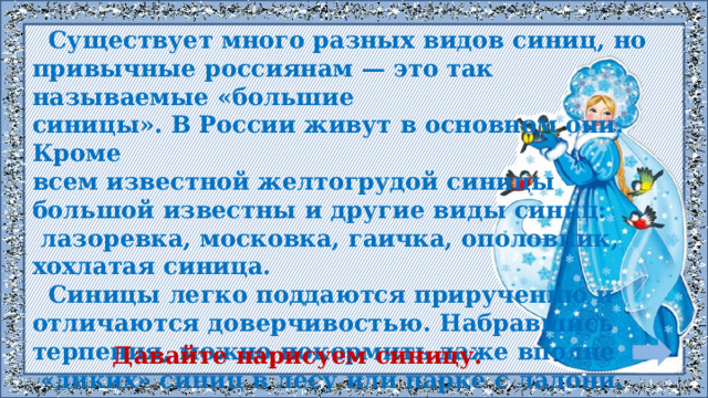  Существует много разных видов синиц, но привычные россиянам — это так называемые «большие синицы». В России живут в основном они. Кроме всем известной желтогрудой синицы большой известны и другие виды синиц:  лазоревка, московка, гаичка, ополовник, хохлатая синица.  Синицы легко поддаются приручению и отличаются доверчивостью. Набравшись терпения, можно покормить даже вполне  «диких» синиц в лесу или парке с ладони. Давайте нарисуем синицу. 