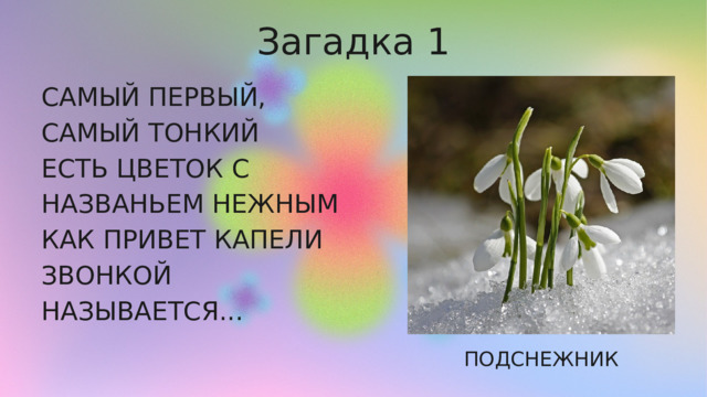 Загадка 1 САМЫЙ ПЕРВЫЙ, САМЫЙ ТОНКИЙ ЕСТЬ ЦВЕТОК С НАЗВАНЬЕМ НЕЖНЫМ КАК ПРИВЕТ КАПЕЛИ ЗВОНКОЙ НАЗЫВАЕТСЯ... ПОДСНЕЖНИК 