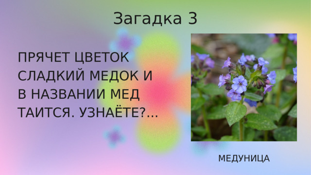Загадка 3 ПРЯЧЕТ ЦВЕТОК СЛАДКИЙ МЕДОК И В НАЗВАНИИ МЕД ТАИТСЯ. УЗНАЁТЕ?... МЕДУНИЦА 