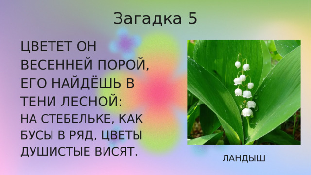 Загадка 5 ЦВЕТЕТ ОН ВЕСЕННЕЙ ПОРОЙ, ЕГО НАЙДЁШЬ В ТЕНИ ЛЕСНОЙ: НА СТЕБЕЛЬКЕ, КАК БУСЫ В РЯД, ЦВЕТЫ ДУШИСТЫЕ ВИСЯТ. ЛАНДЫШ 