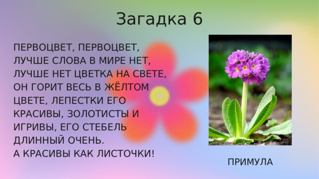 Загадка 6 ПЕРВОЦВЕТ, ПЕРВОЦВЕТ, ЛУЧШЕ СЛОВА В МИРЕ НЕТ, ЛУЧШЕ НЕТ ЦВЕТКА НА СВЕТЕ, ОН ГОРИТ ВЕСЬ В ЖЁЛТОМ ЦВЕТЕ, ЛЕПЕСТКИ ЕГО КРАСИВЫ, ЗОЛОТИСТЫ И ИГРИВЫ, ЕГО СТЕБЕЛЬ ДЛИННЫЙ ОЧЕНЬ. А КРАСИВЫ КАК ЛИСТОЧКИ! ПРИМУЛА 
