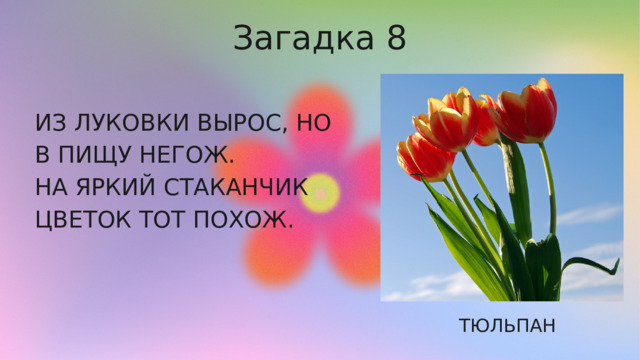 Загадка 8 ИЗ ЛУКОВКИ ВЫРОС, НО В ПИЩУ НЕГОЖ. НА ЯРКИЙ СТАКАНЧИК ЦВЕТОК ТОТ ПОХОЖ. ТЮЛЬПАН 