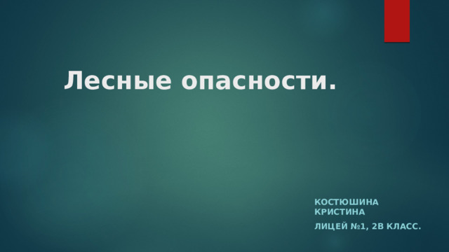 Лесные опасности. Костюшина Кристина Лицей №1, 2В класс. 