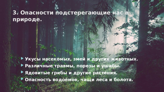 3. Опасности подстерегающие нас в природе. Укусы насекомых, змей и других животных. Различные травмы, порезы и ушибы. Ядовитые грибы и другие растения. Опасность водоёмов, чащи леса и болота. 