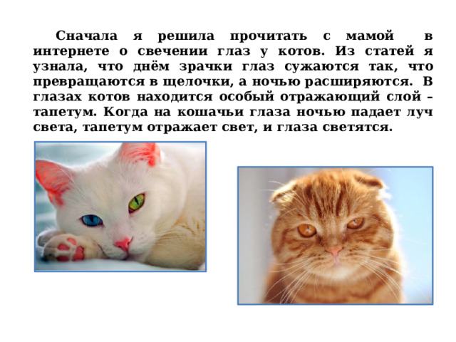  Сначала я решила прочитать с мамой в интернете о свечении глаз у котов. Из статей я узнала, что днём зрачки глаз сужаются так, что превращаются в щелочки, а ночью расширяются. В глазах котов находится особый отражающий слой – тапетум. Когда на кошачьи глаза ночью падает луч света, тапетум отражает свет, и глаза светятся.   